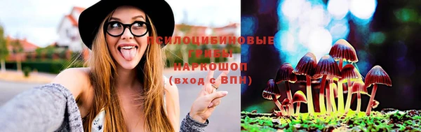 jwh Михайловск